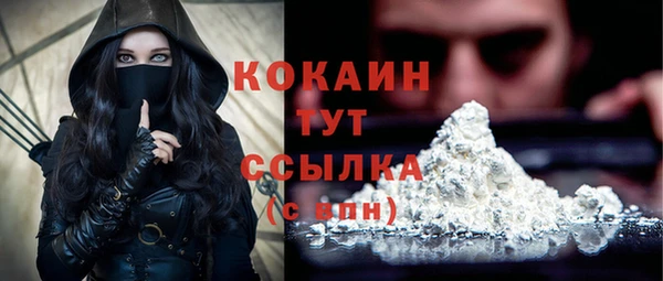 прущий лед Арсеньев