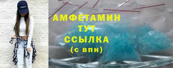 сатива Аркадак