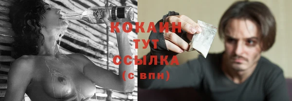 сатива Аркадак