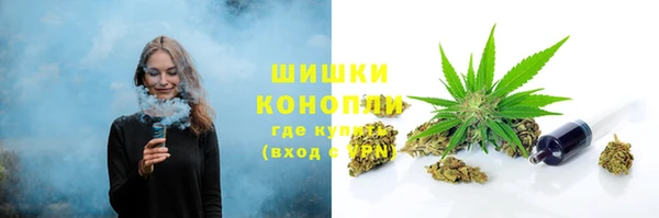 сатива Аркадак