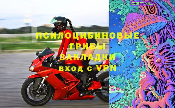 сатива Аркадак