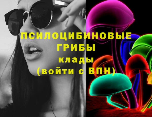 сатива Аркадак