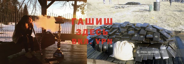 сатива Аркадак