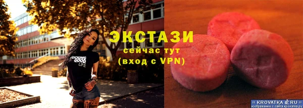 сатива Аркадак
